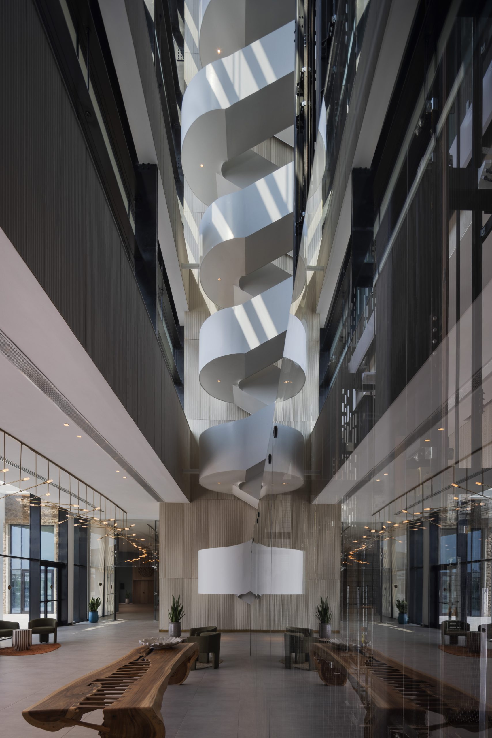 נבל דוד כנרת