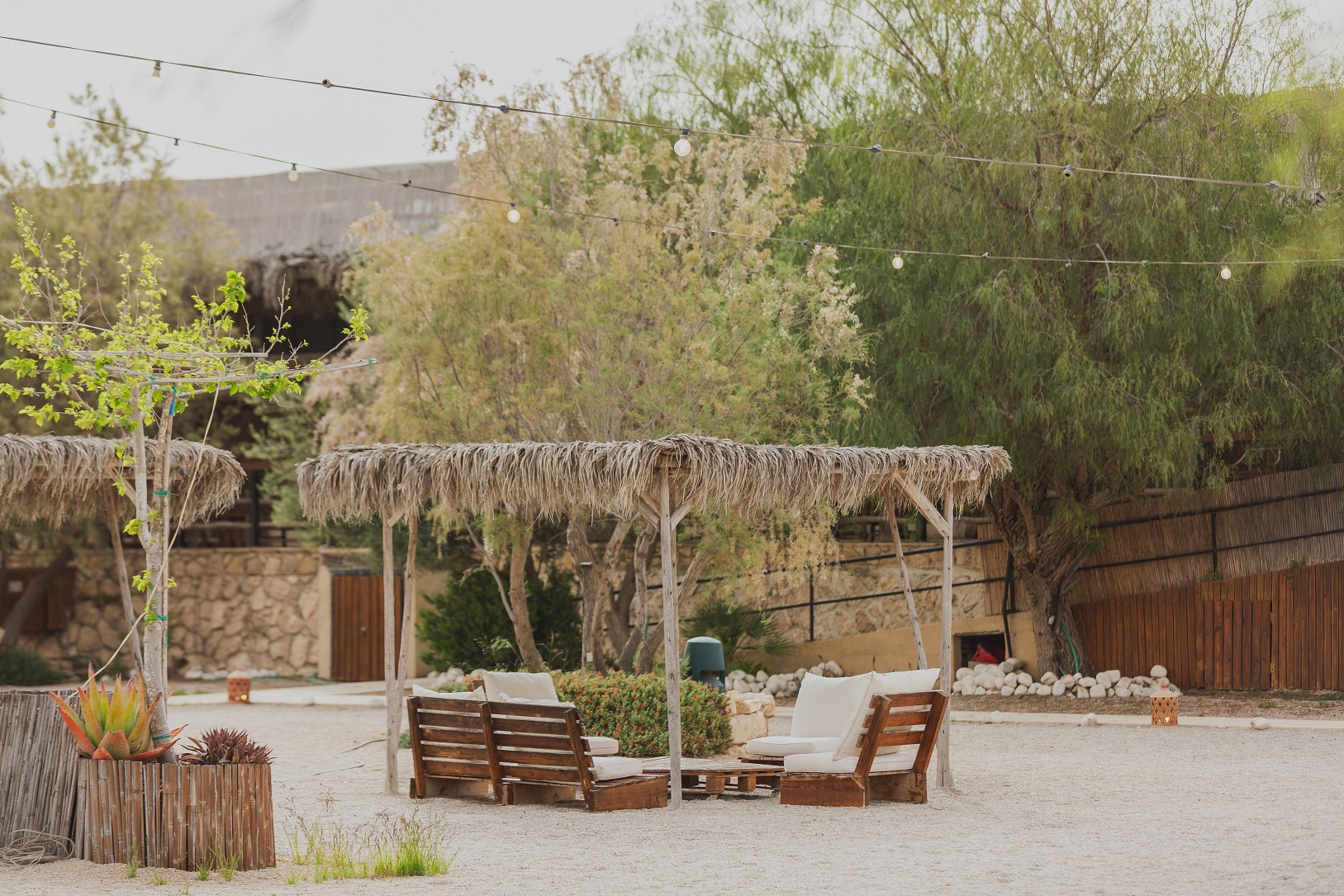 ג'יקוב רמון