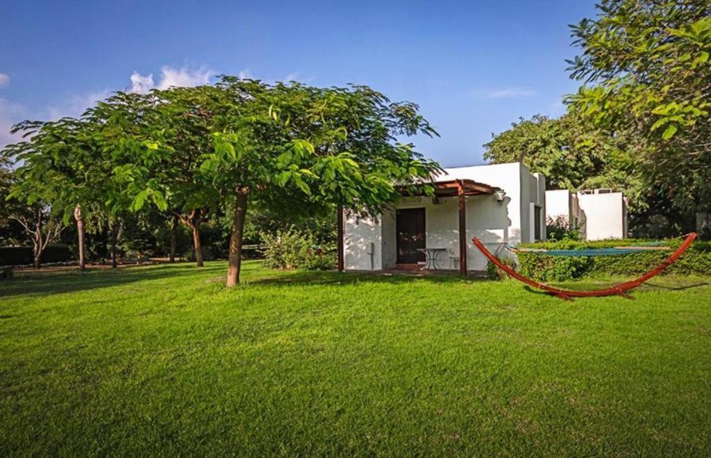 חוף נחשולים