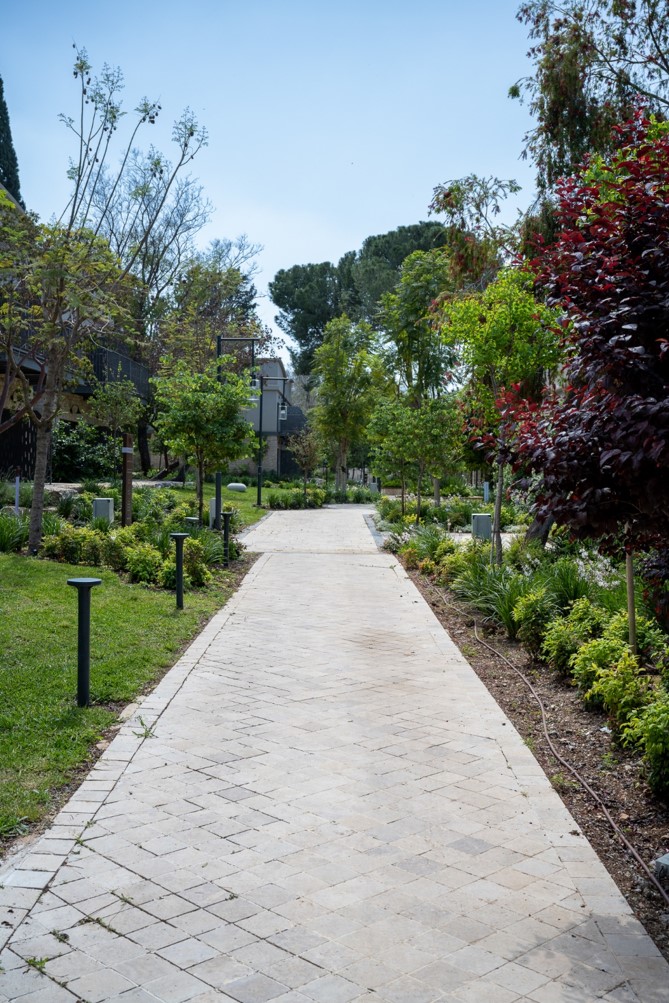 ישרוטל איילה