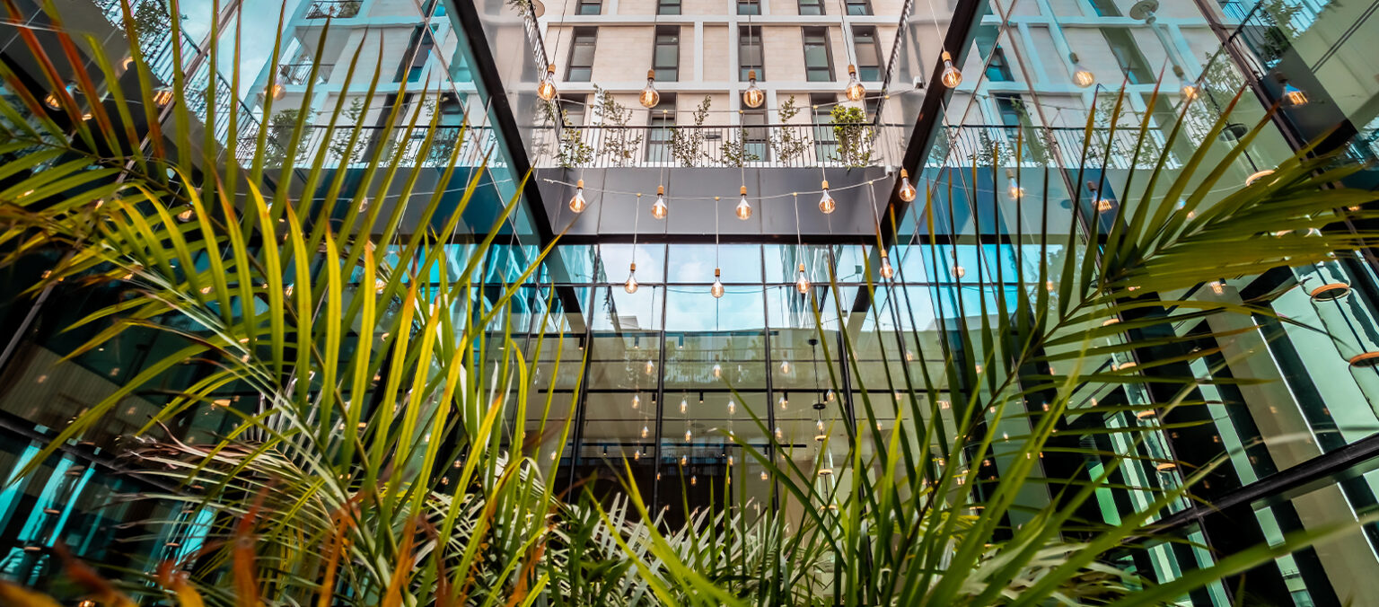 ג'יקוב מודיעין