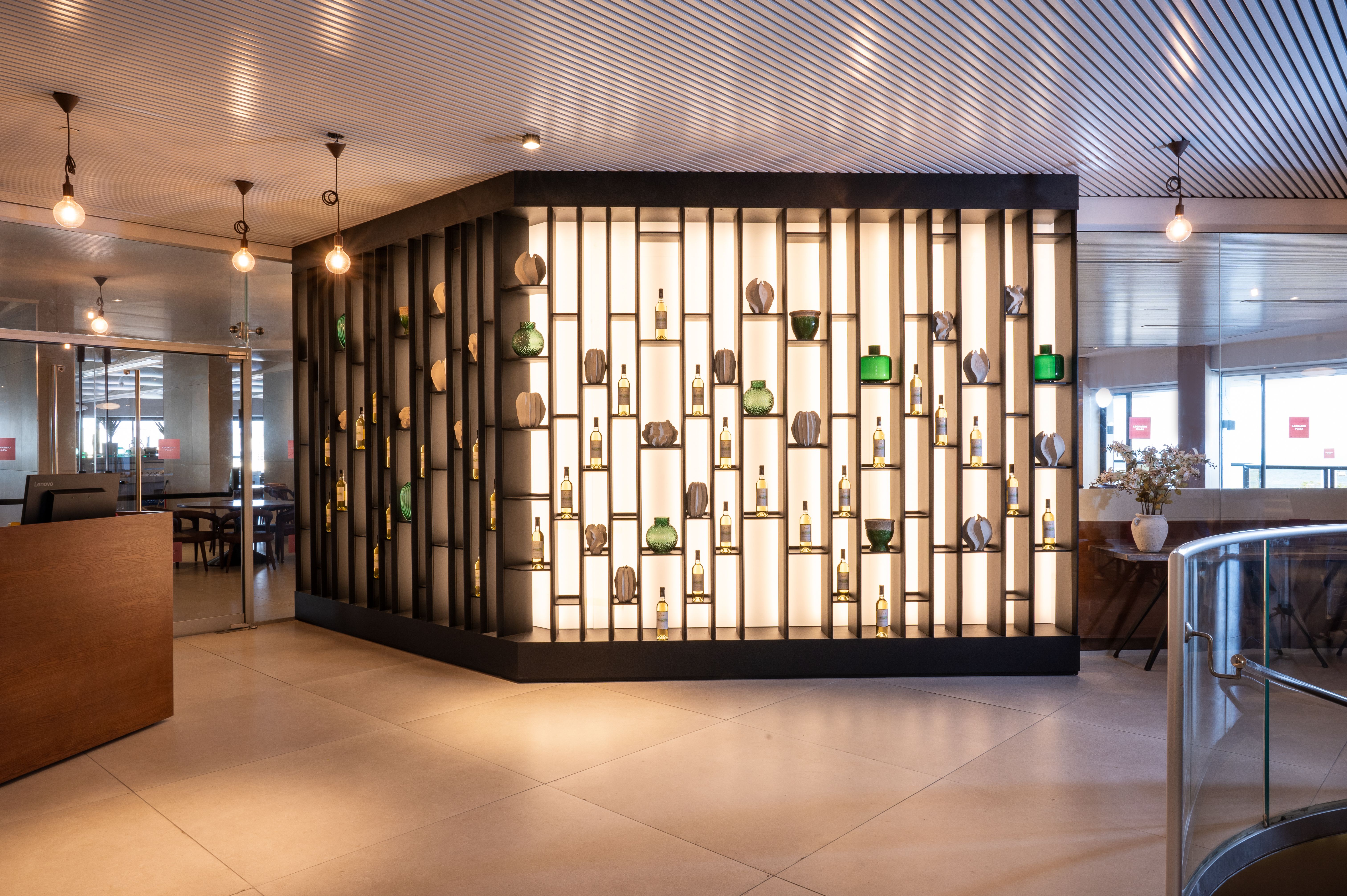 לאונרדו פלאזה