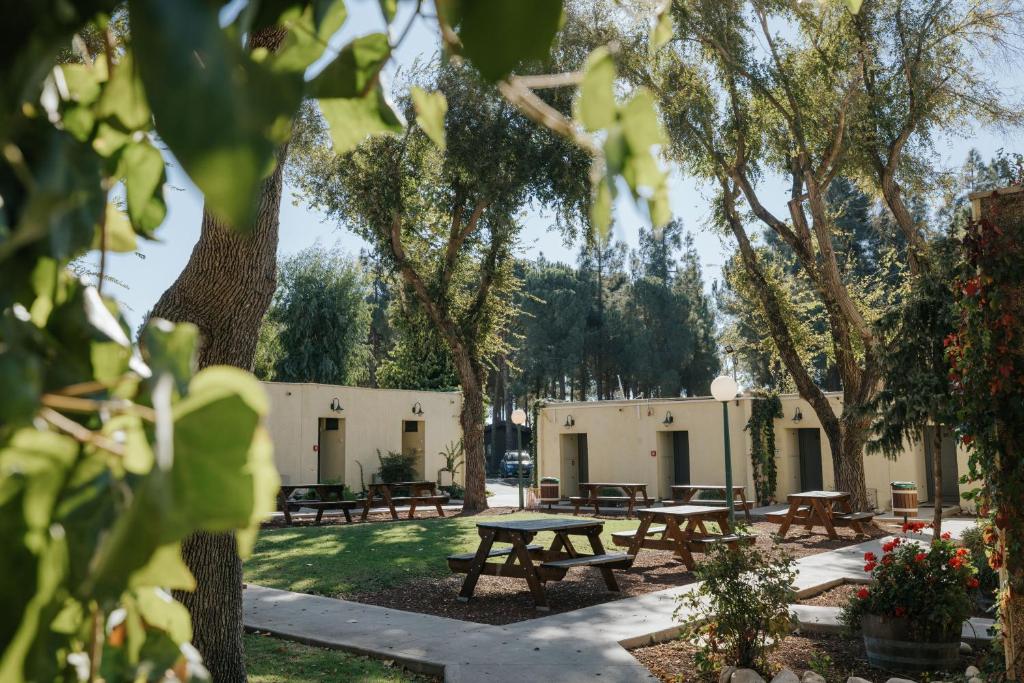 תיירות אורטל