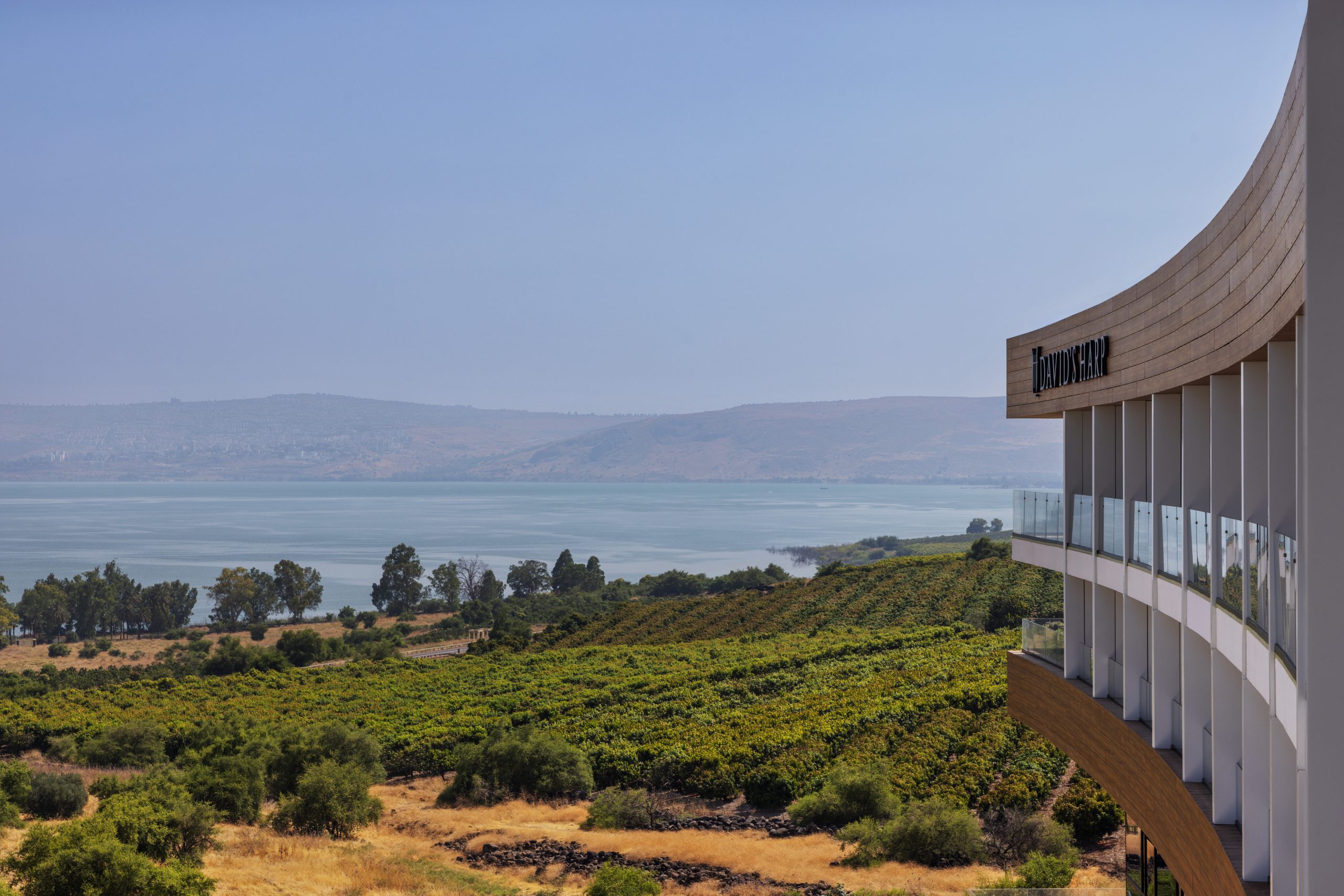 נבל דוד כנרת