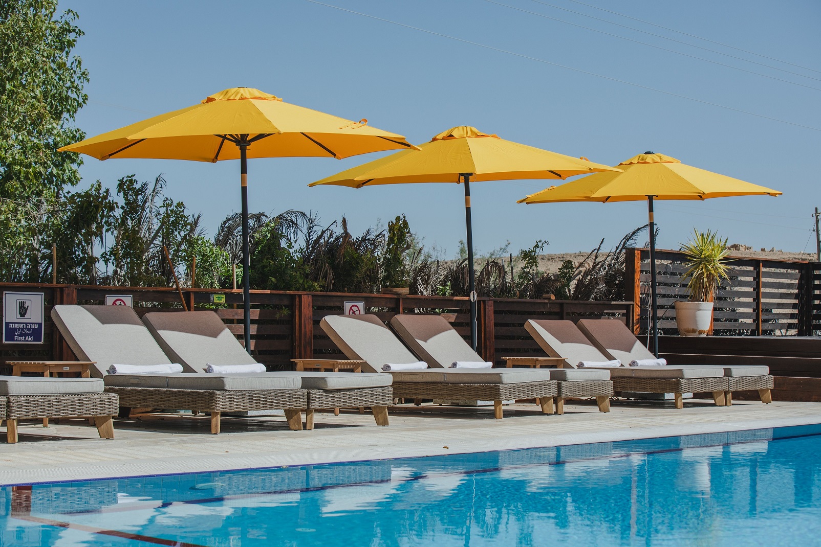 ג'יקוב רמון