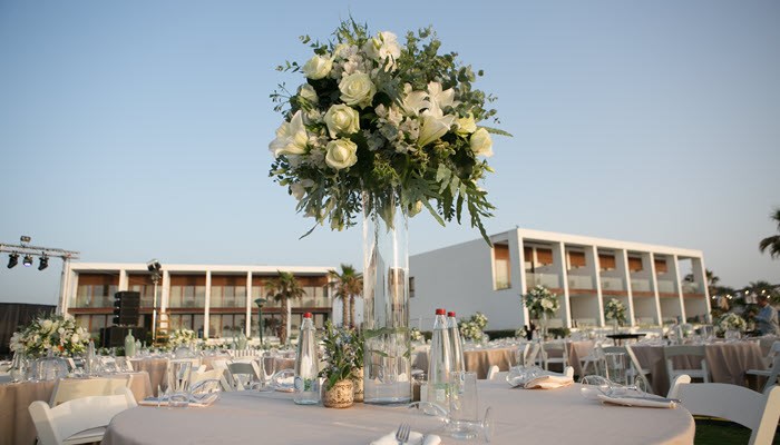 חוף נחשולים