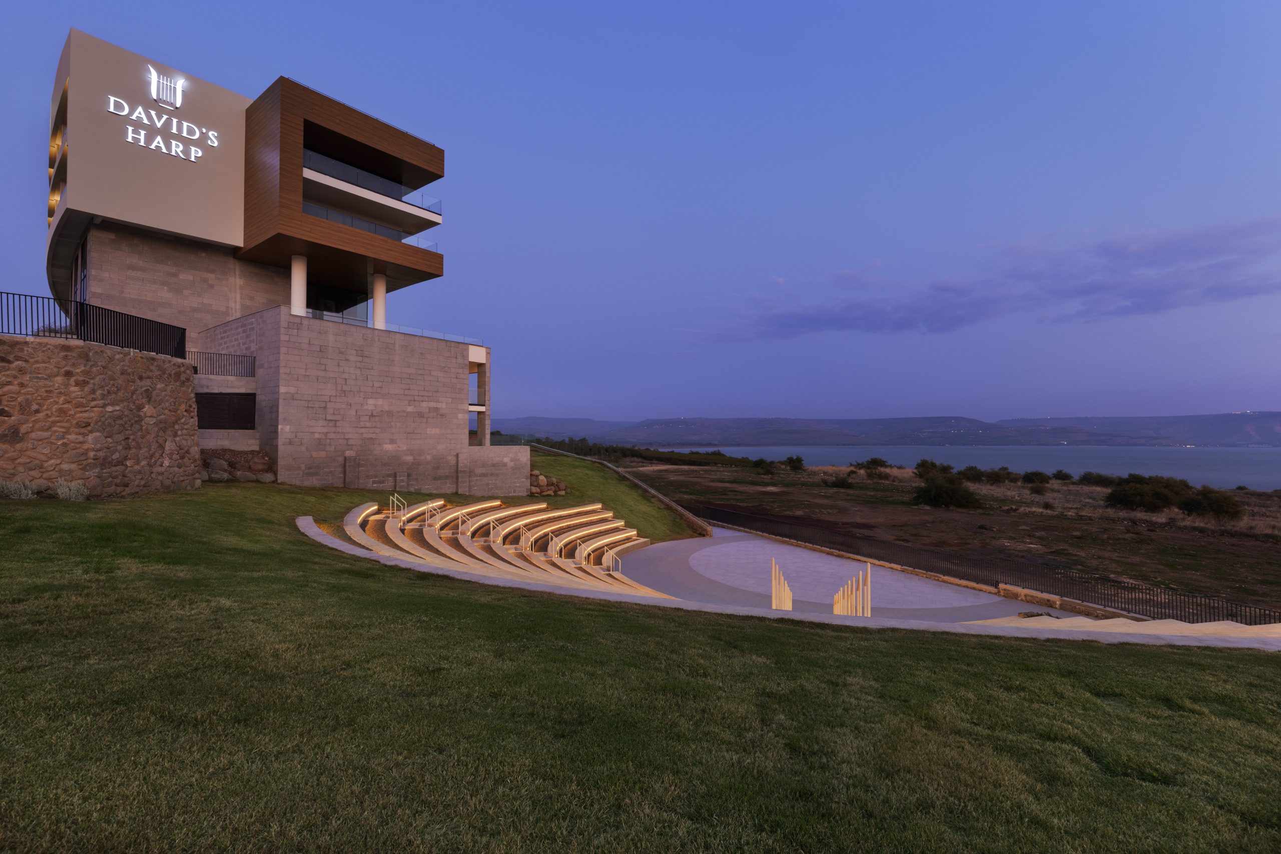 נבל דוד כנרת