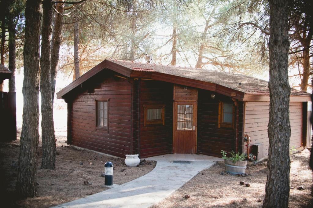 תיירות אורטל