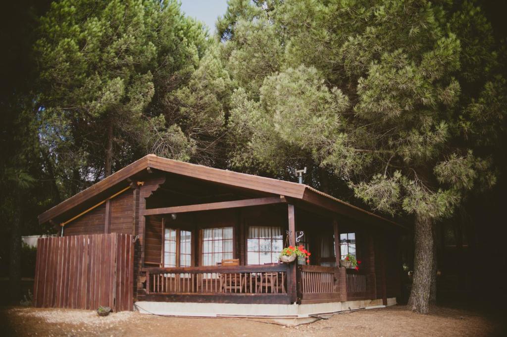 תיירות אורטל