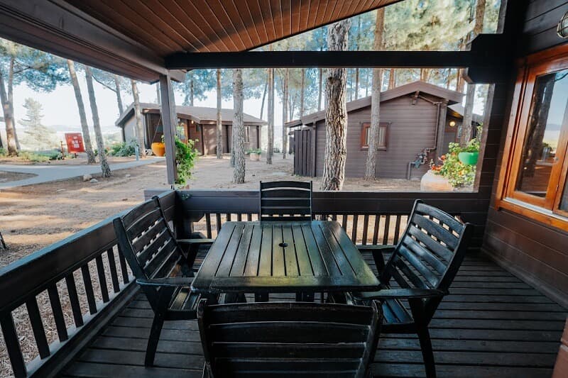 תיירות אורטל