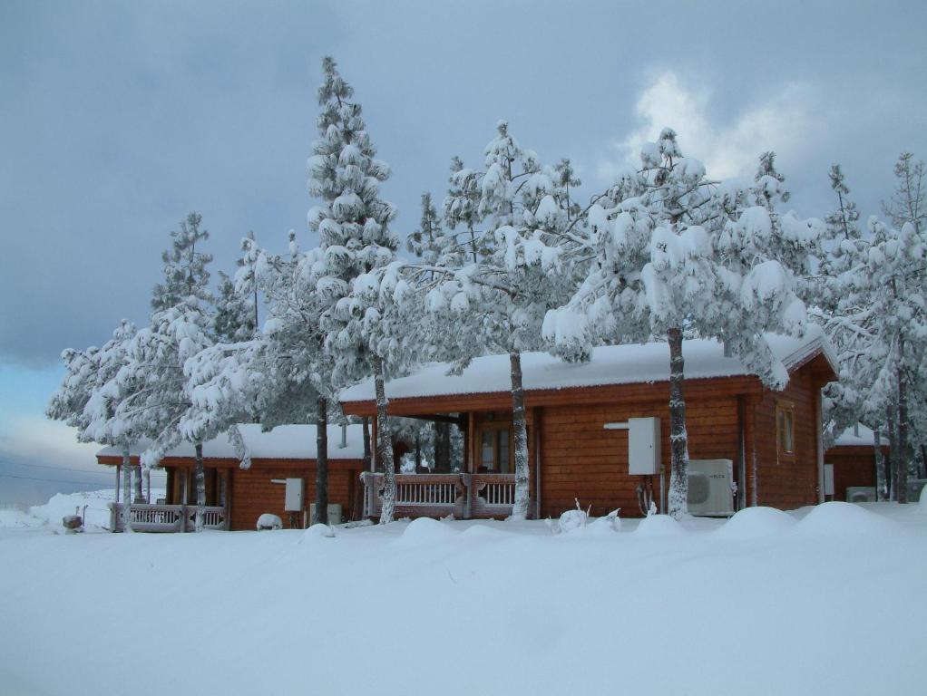 תיירות אורטל