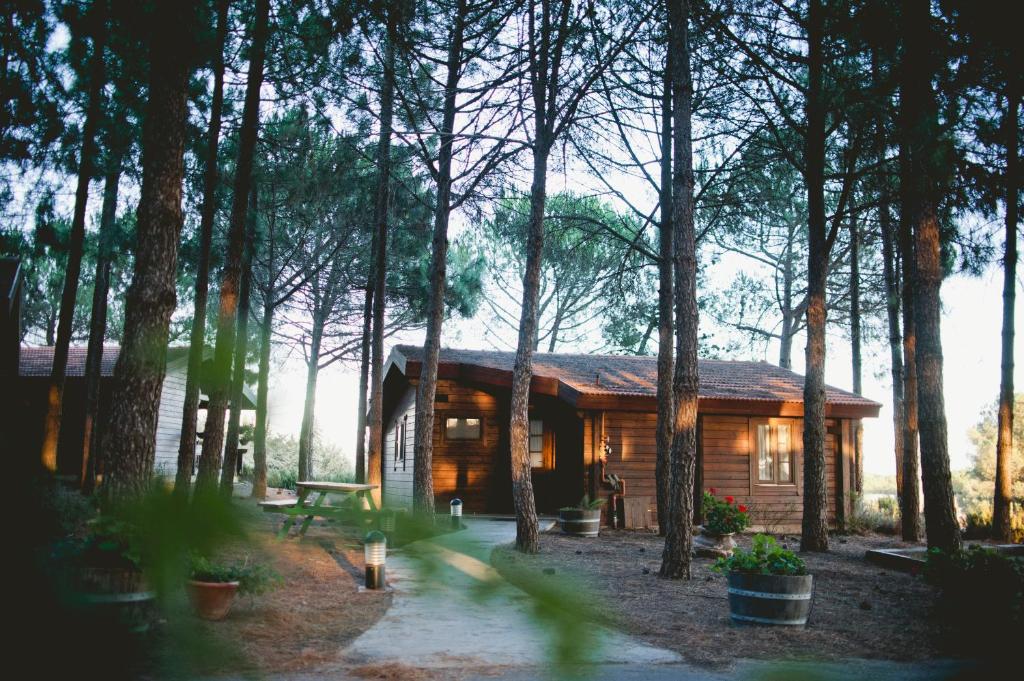 תיירות אורטל