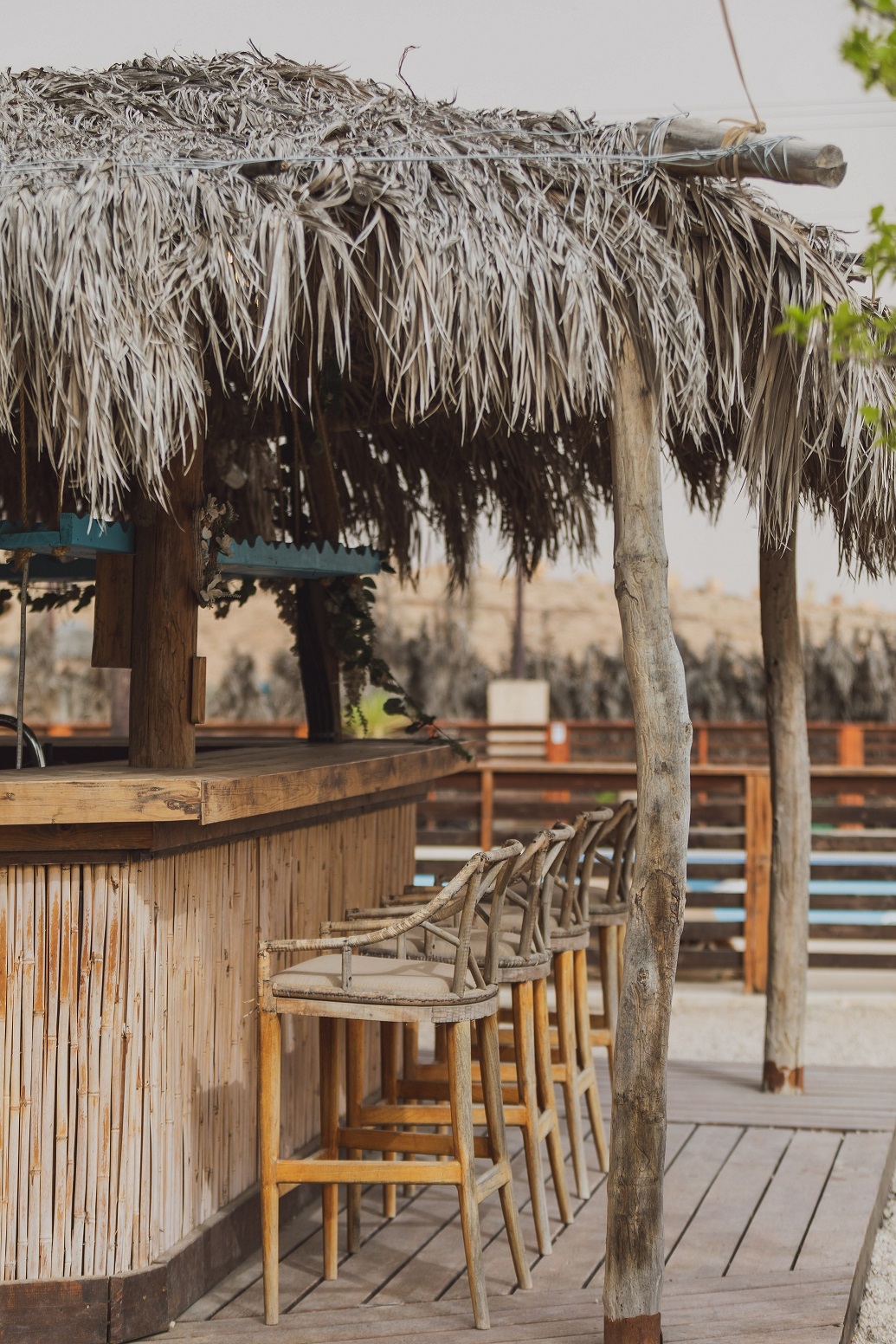 ג'יקוב רמון