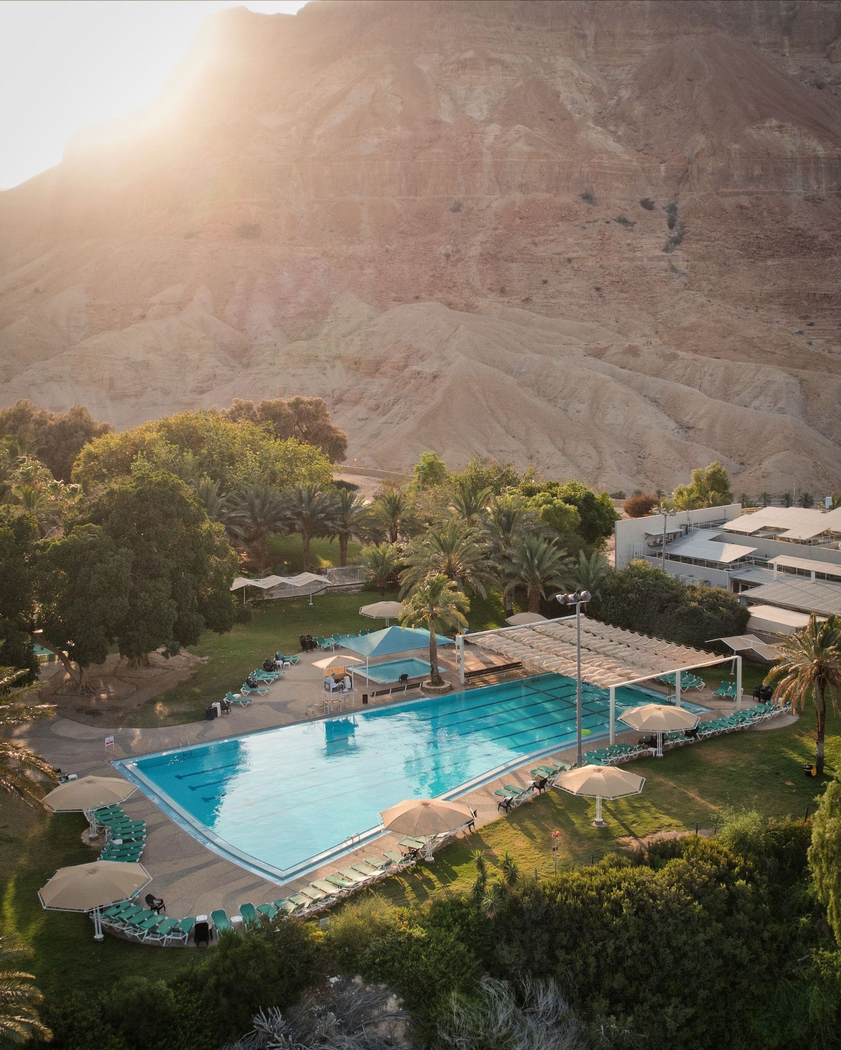 מלון עין גדי