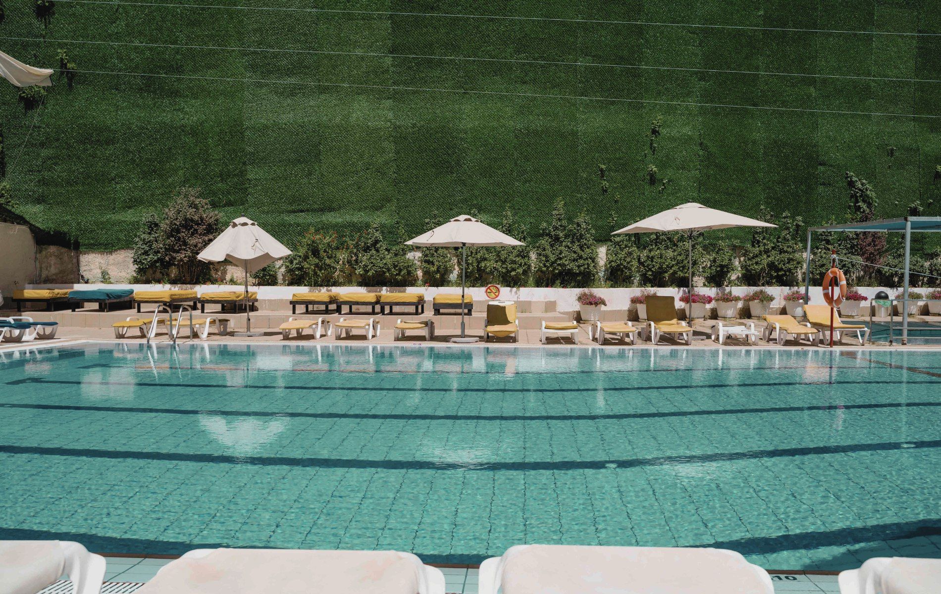 בראון ירושלים (שלום לשעבר)