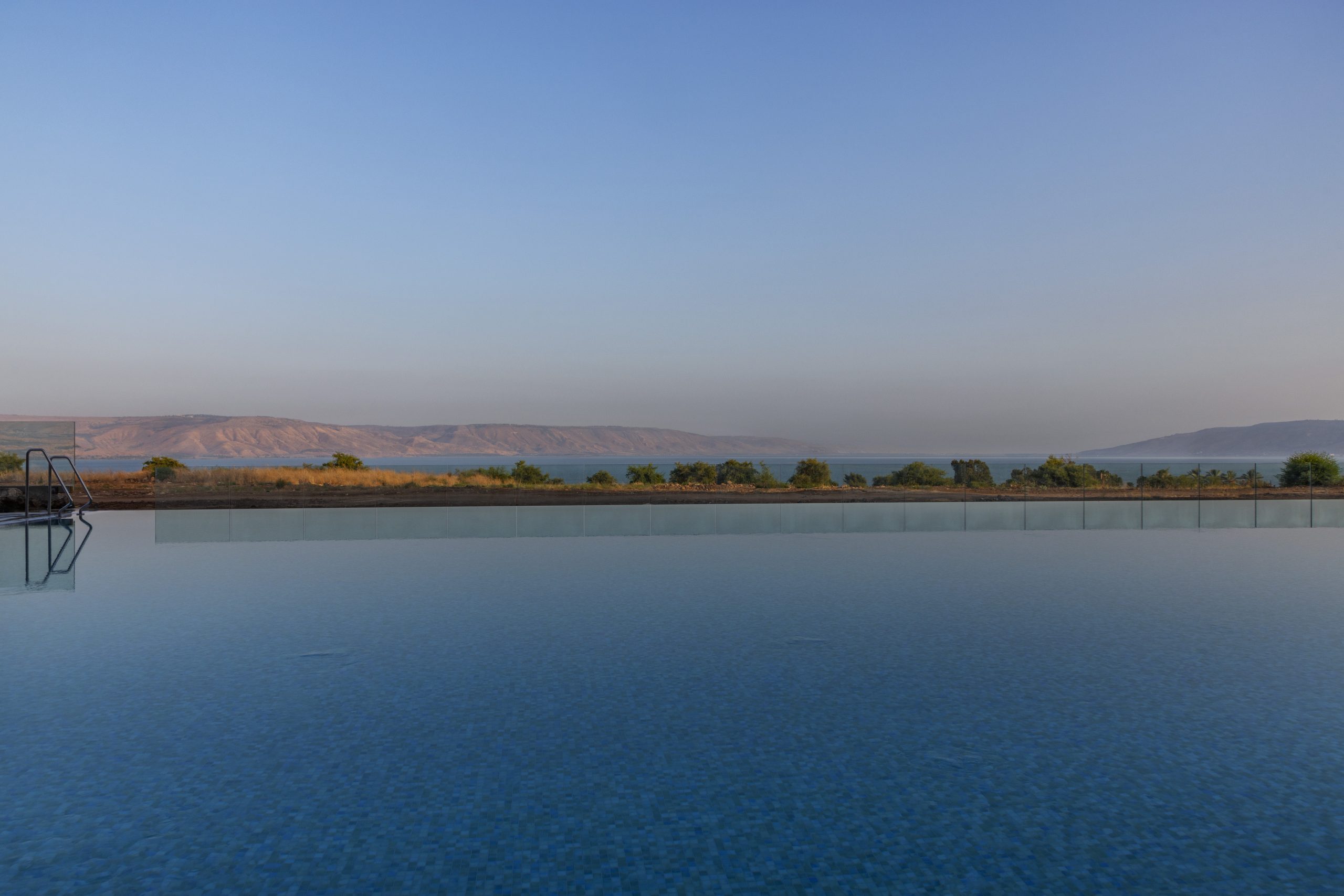 נבל דוד כנרת