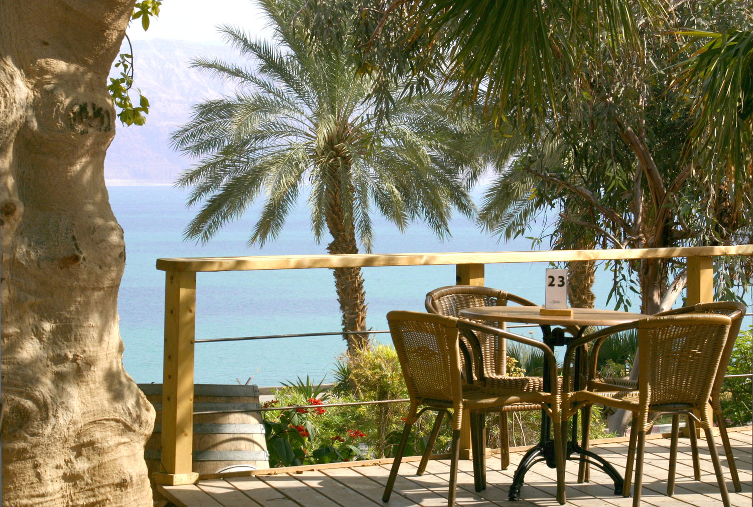 מלון עין גדי