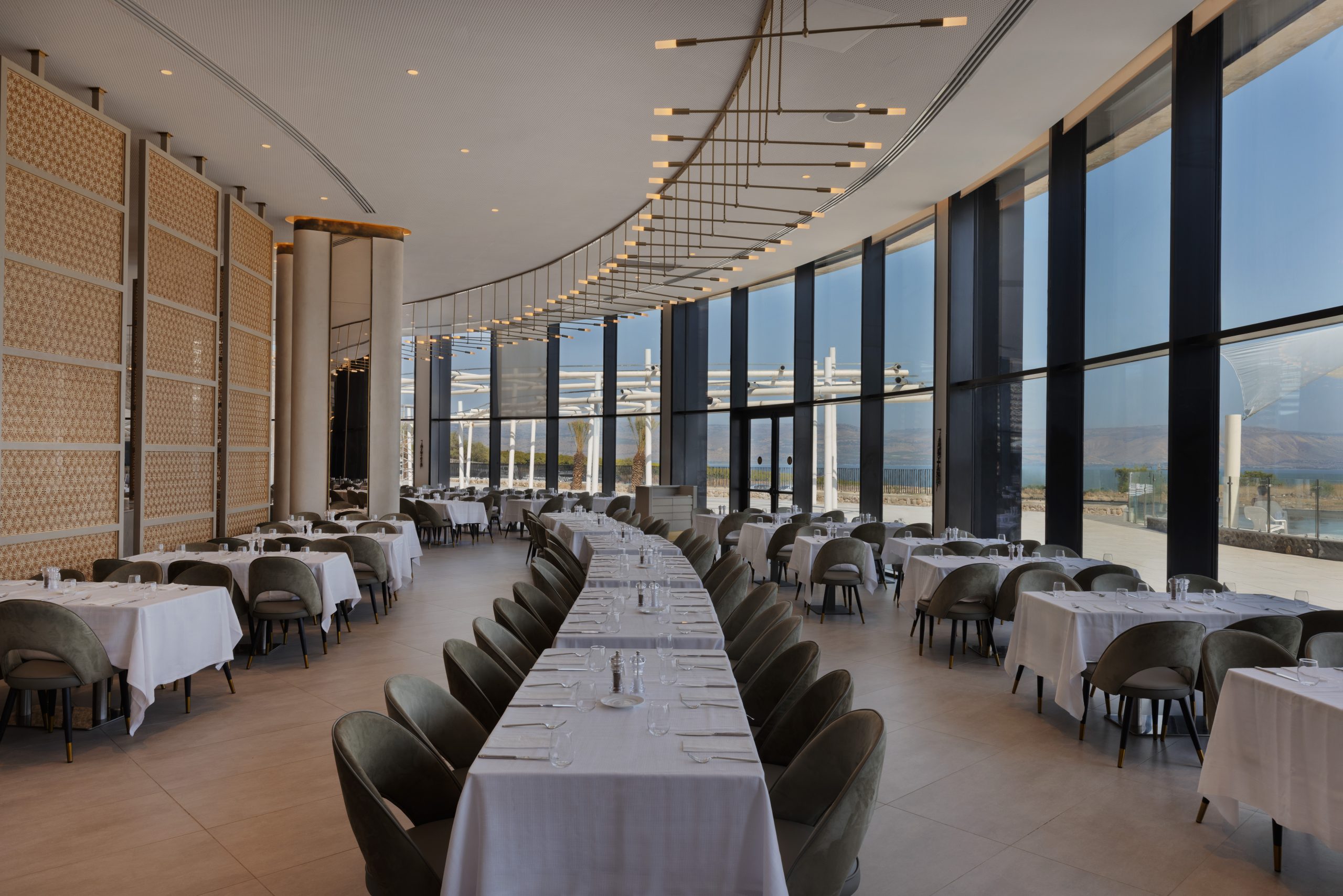 נבל דוד כנרת