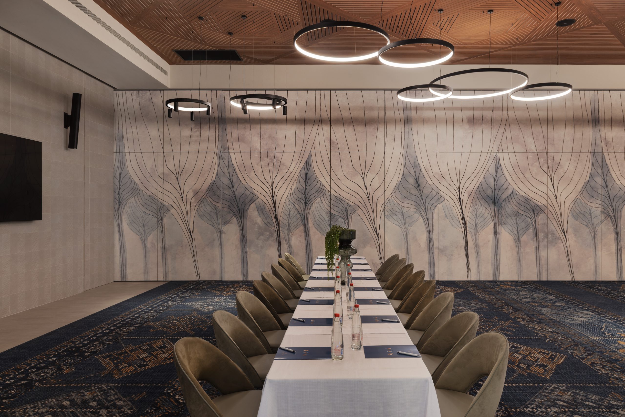 נבל דוד כנרת