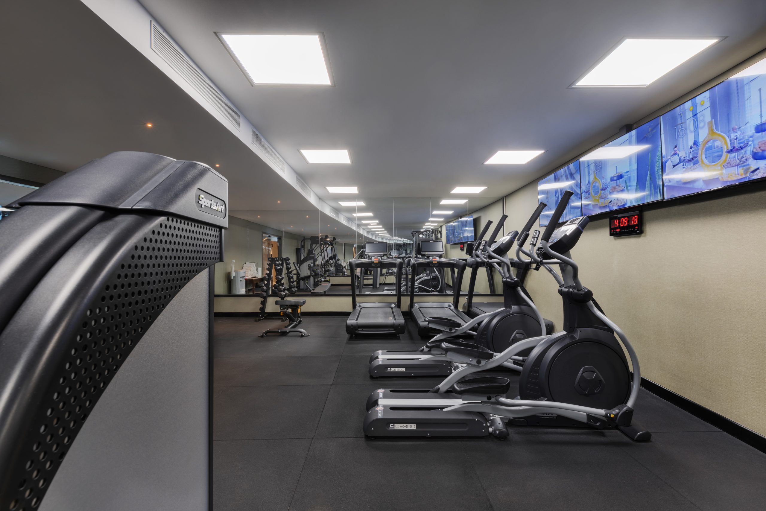 נבל דוד כנרת