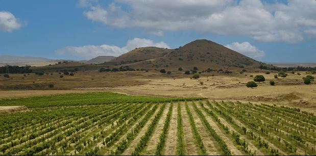 תיירות אורטל