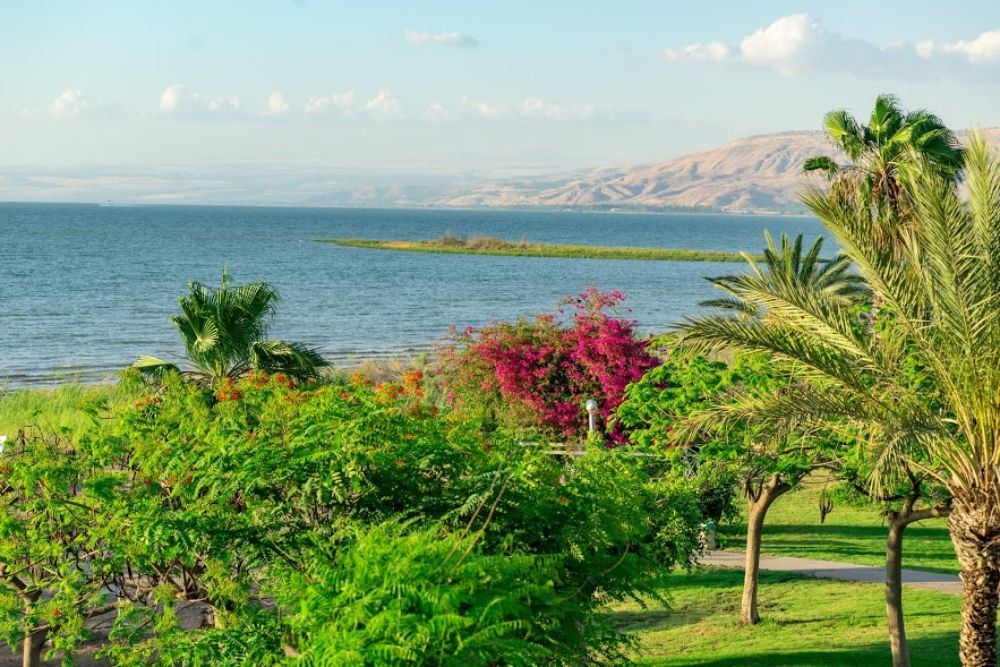 מעגן כפר נופש