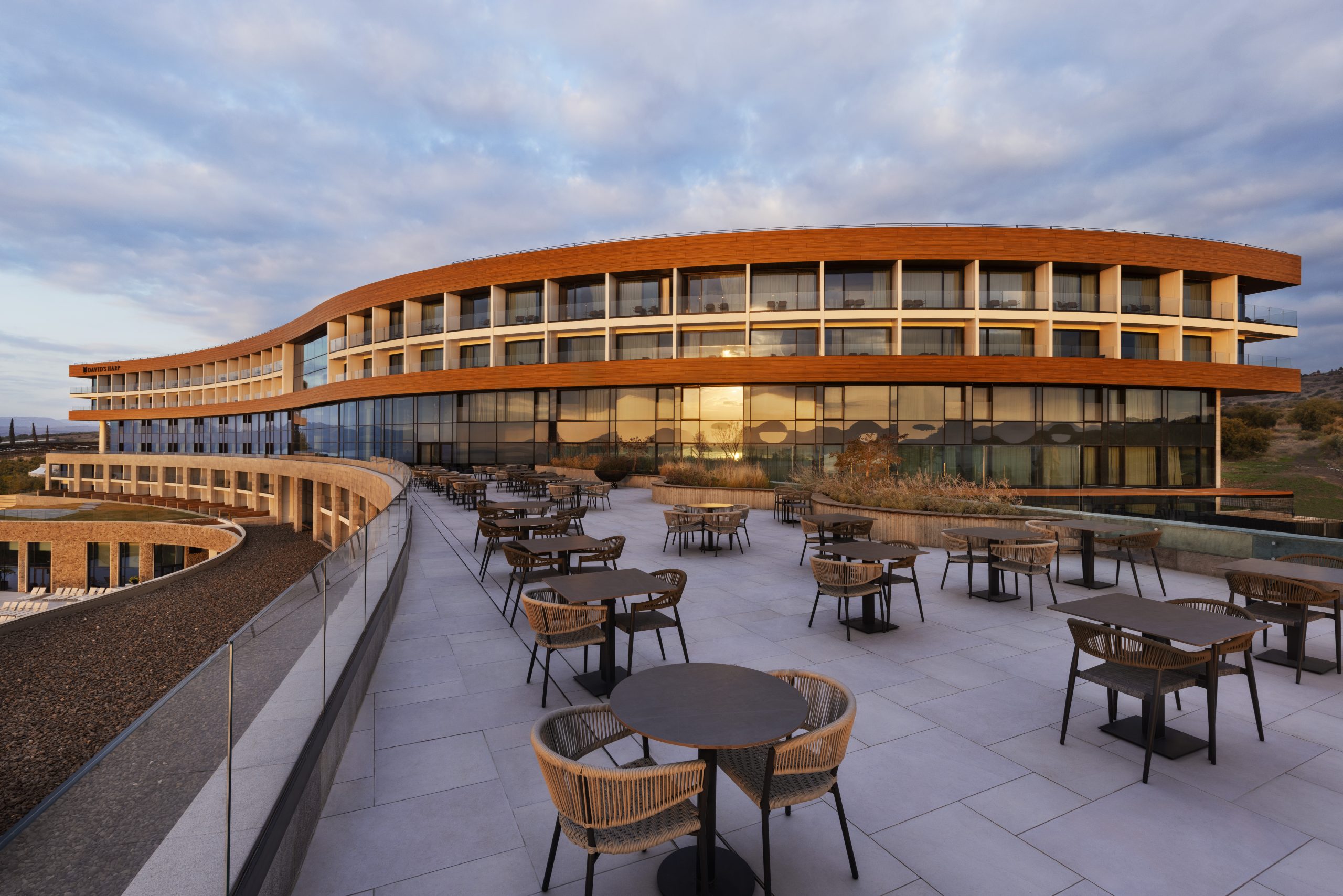 נבל דוד כנרת