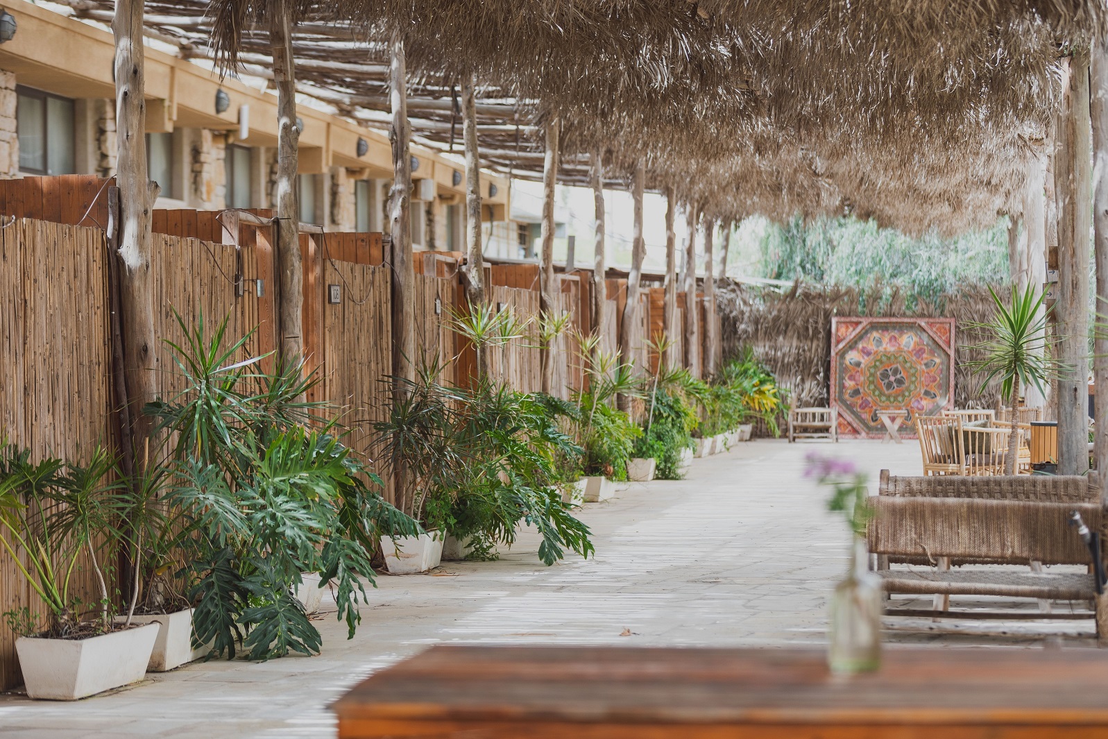 ג'יקוב רמון