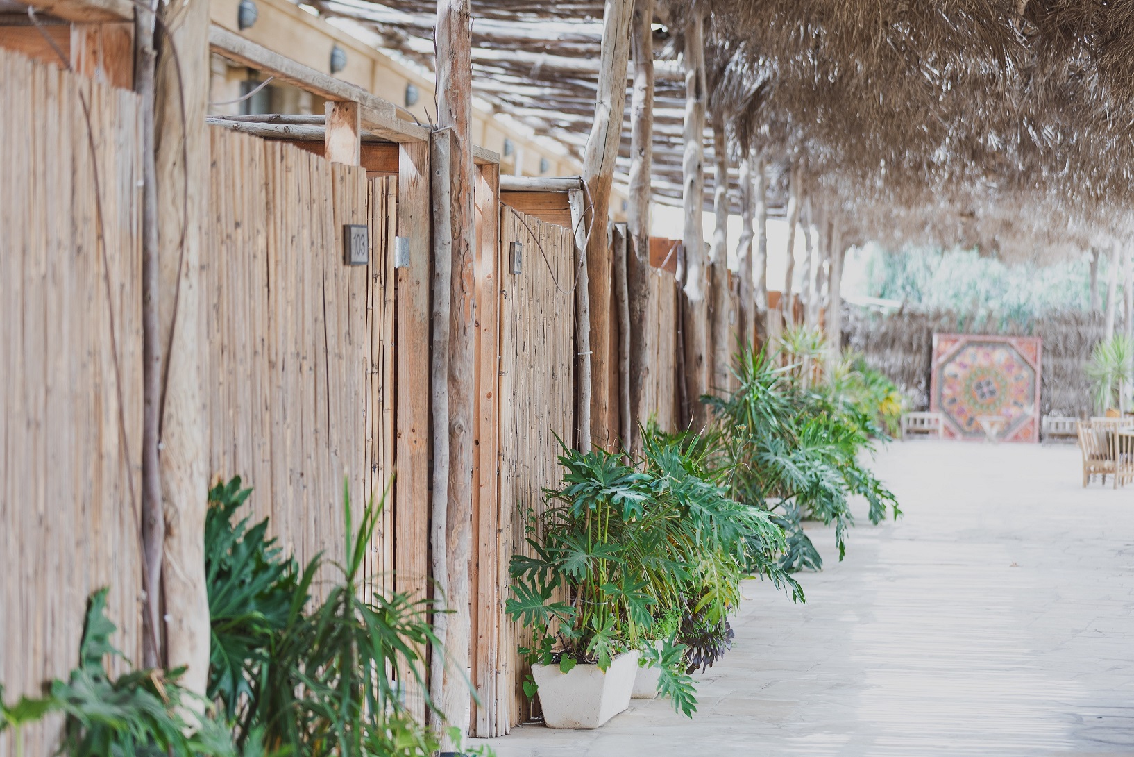 ג'יקוב רמון