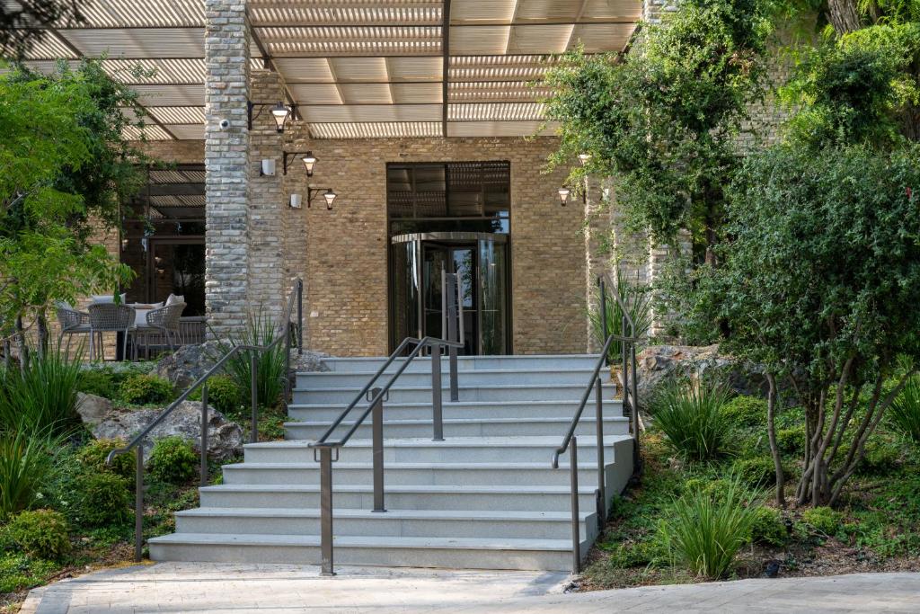 ישרוטל איילה