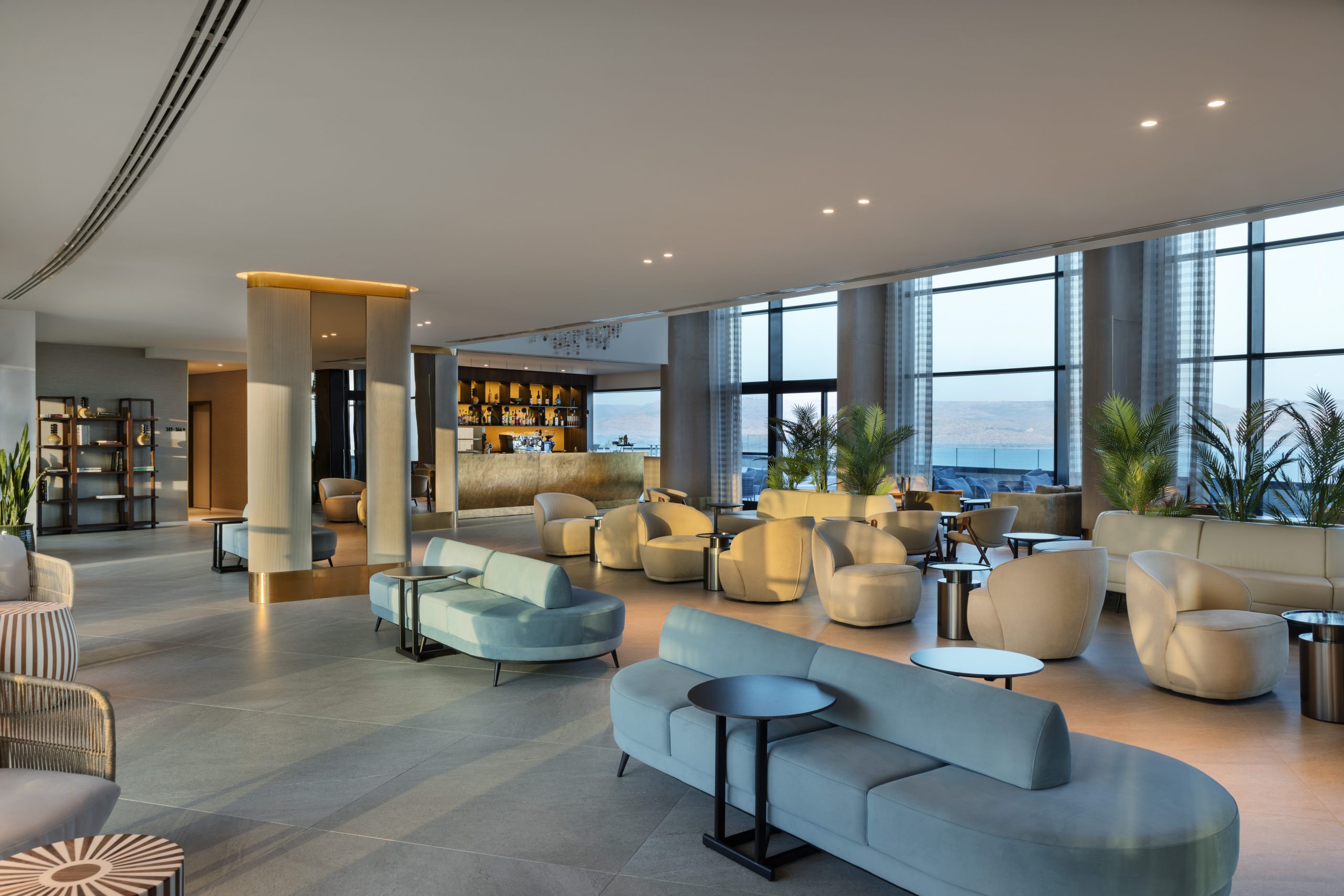 נבל דוד כנרת