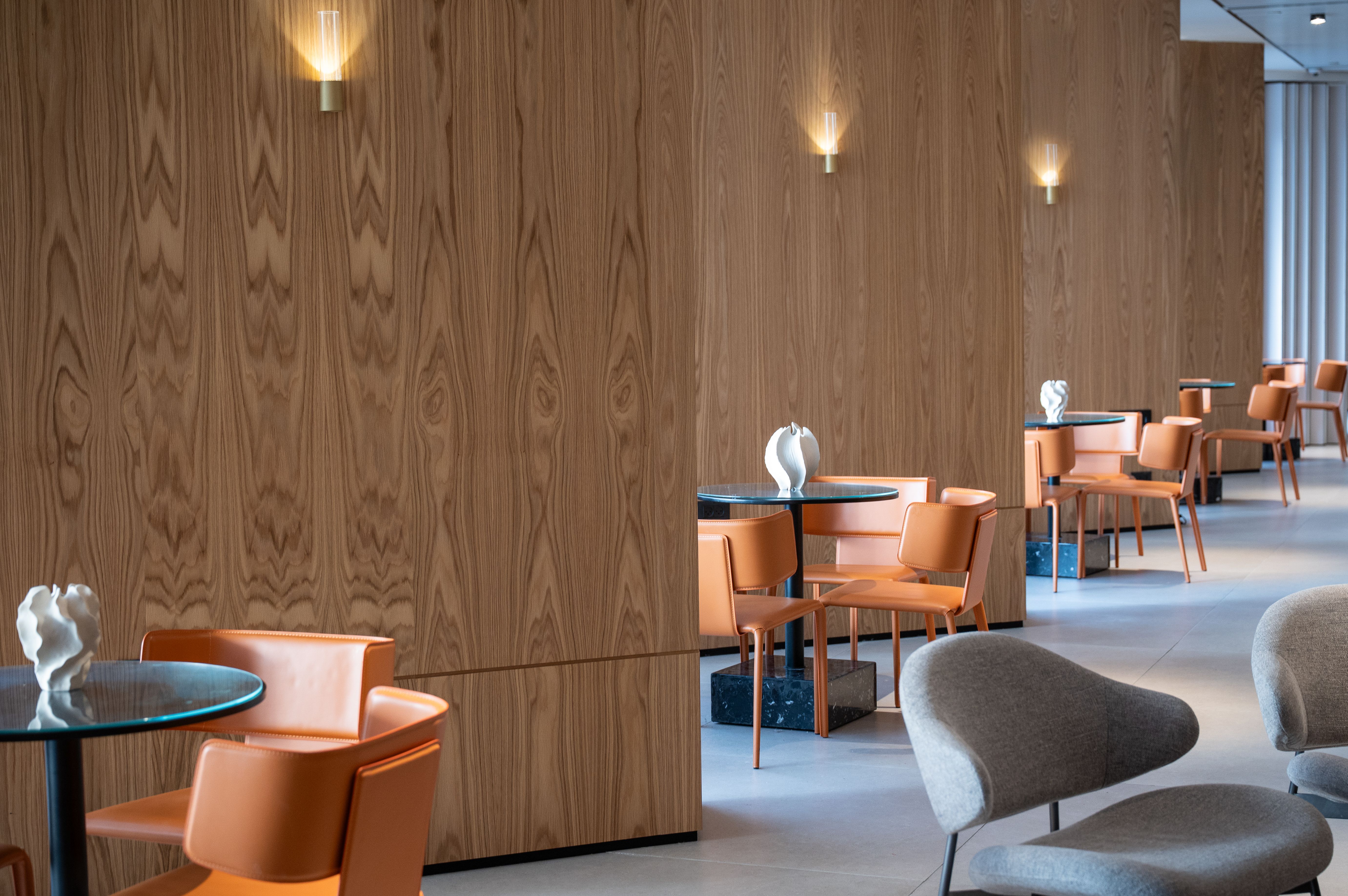 לאונרדו פלאזה