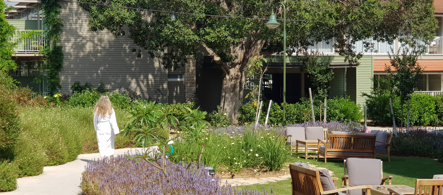 ג'יקוב ניאה