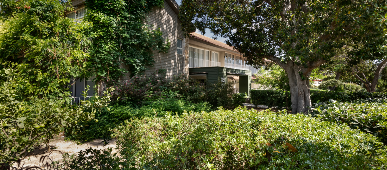 ג'יקוב ניאה