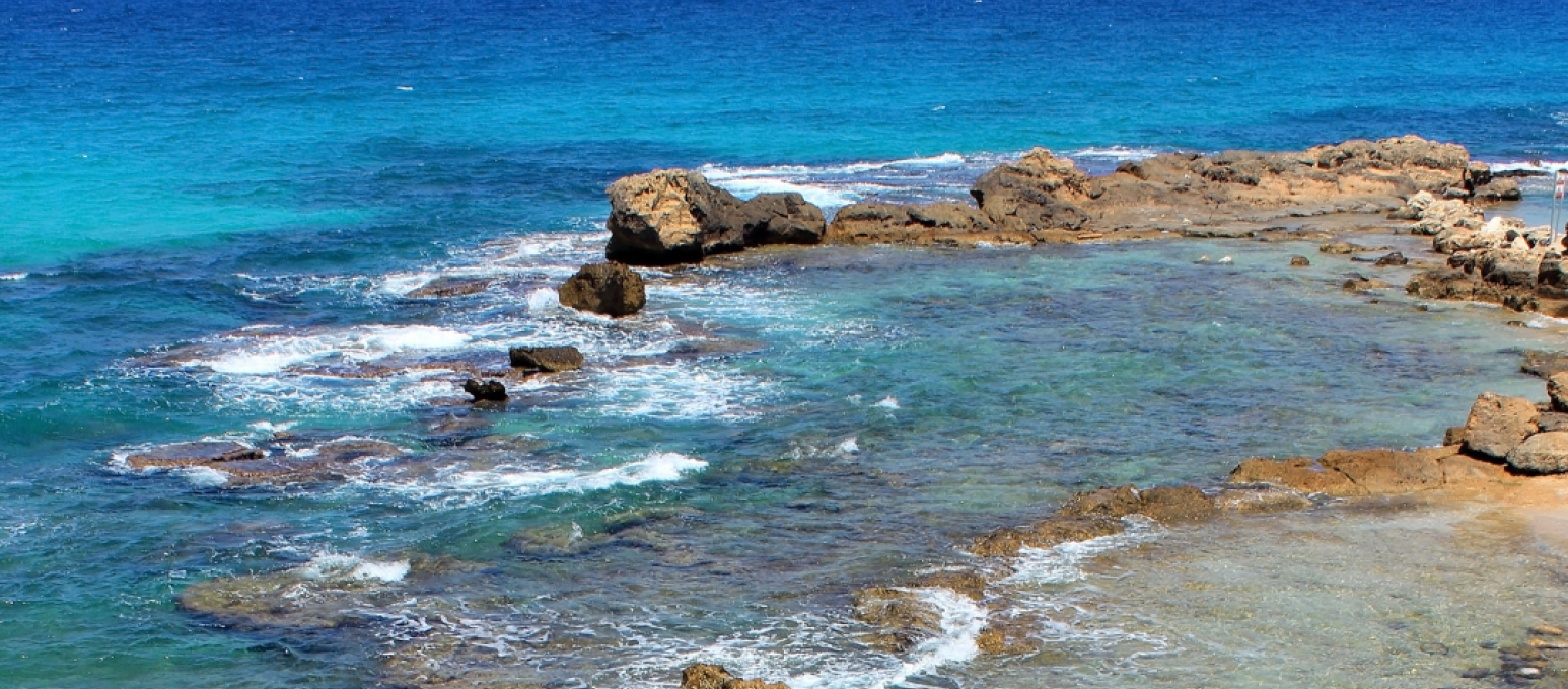 ג'יקוב ניאה