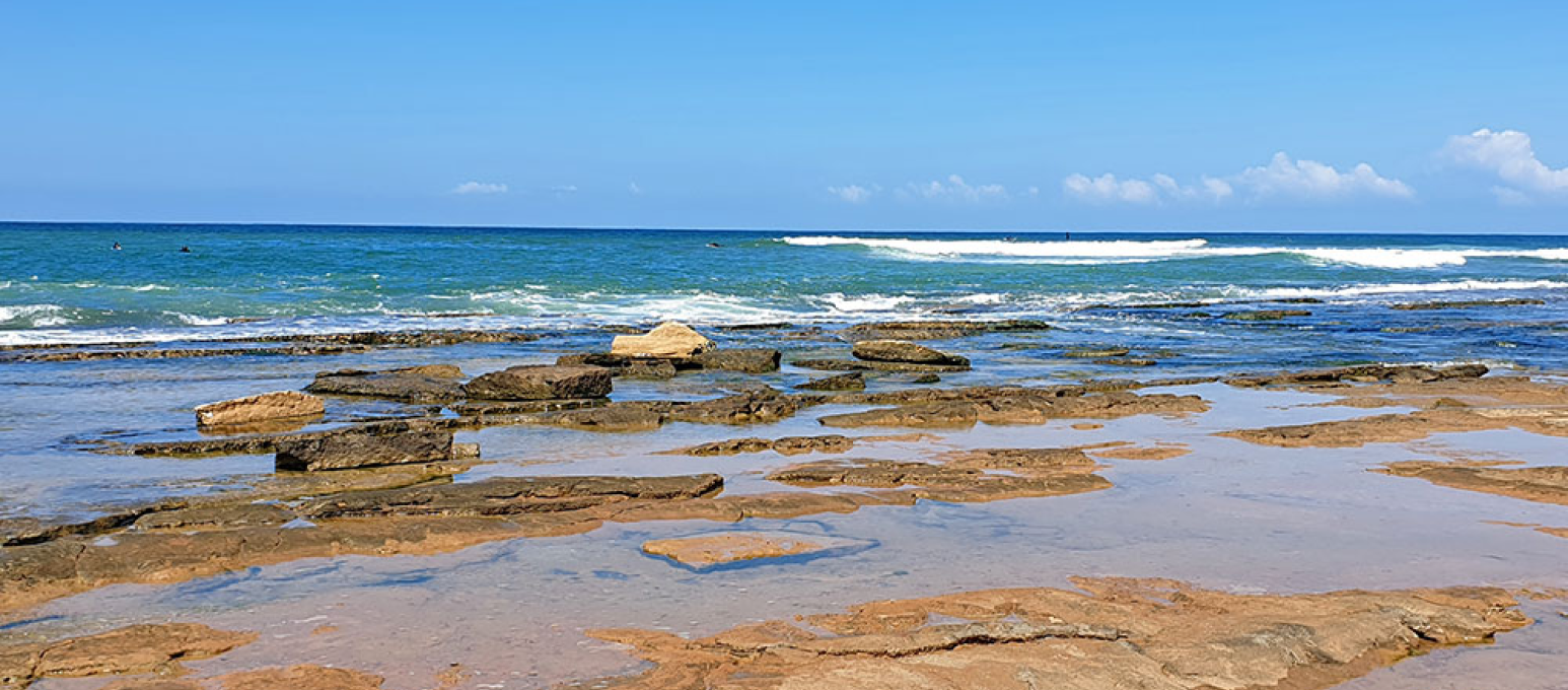 ג'יקוב ניאה