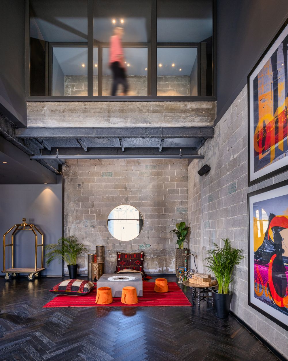 בראון מחנה יהודה