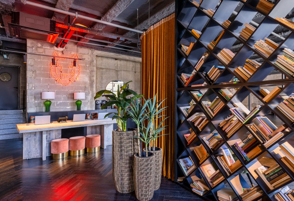 בראון מחנה יהודה