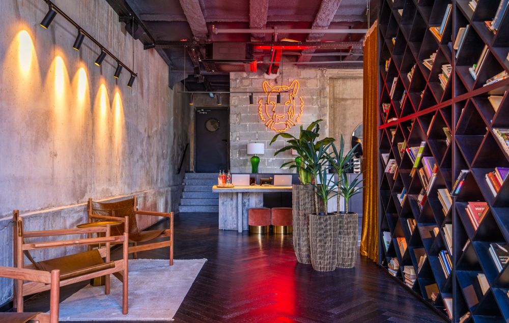 בראון מחנה יהודה