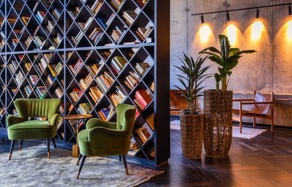 בראון מחנה יהודה