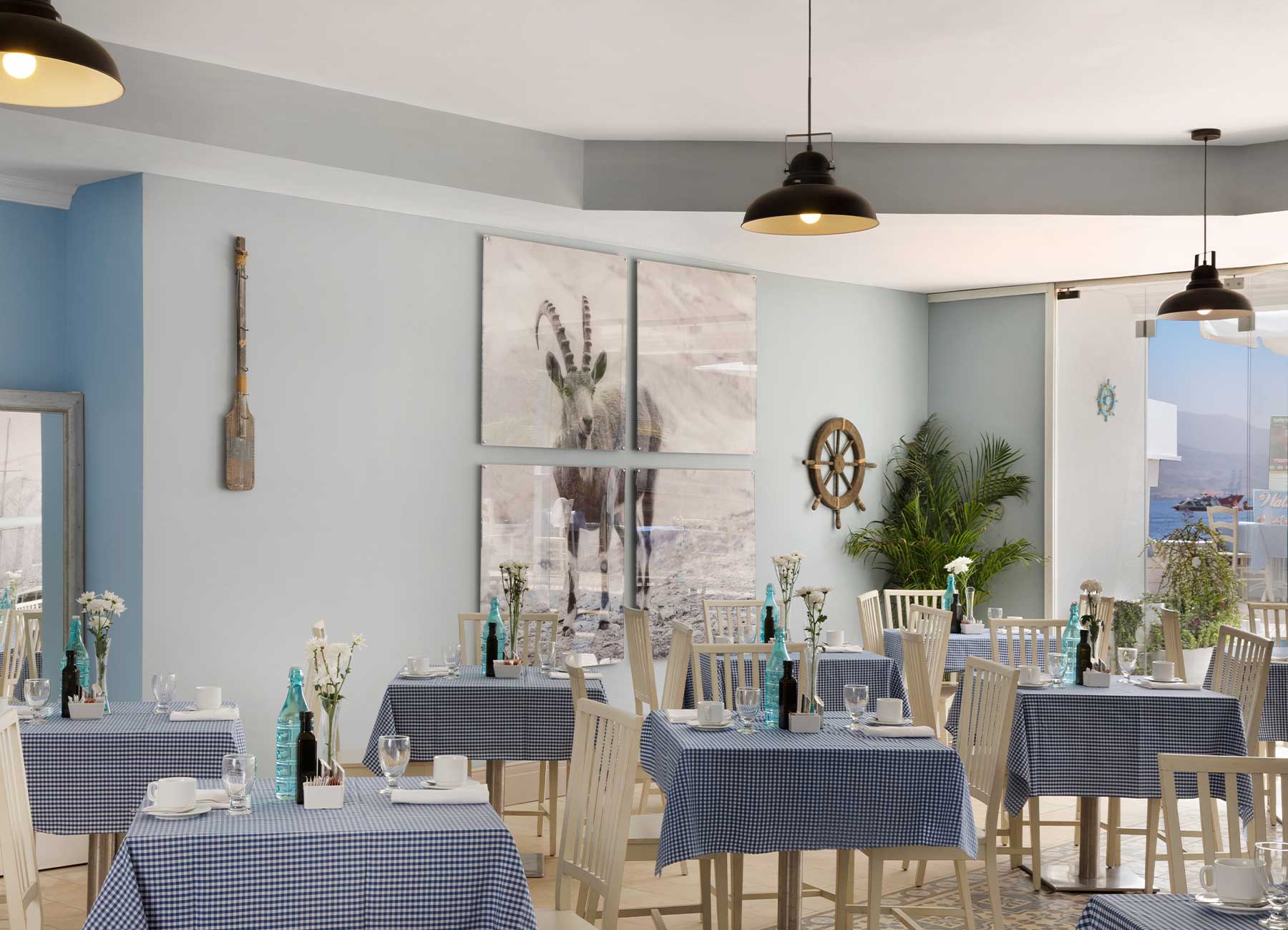 הרברט סמואל ריף