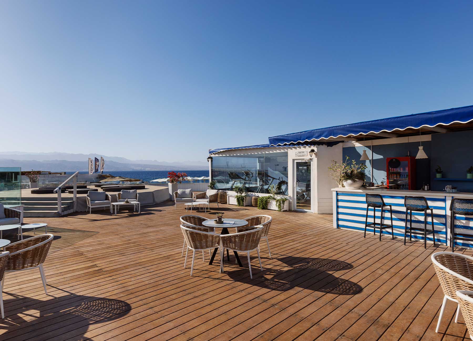 הרברט סמואל ריף