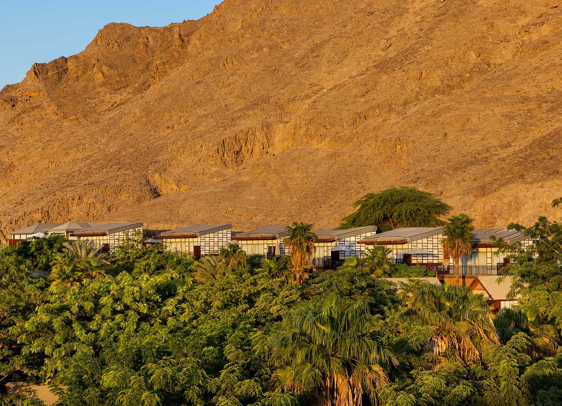 הרברט סמואל רויאל שנגרליה