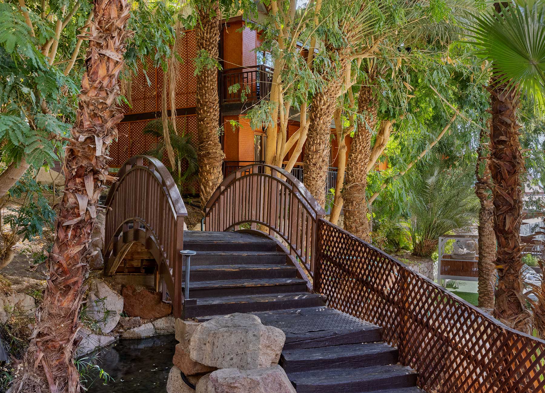 הרברט סמואל רויאל שנגרליה