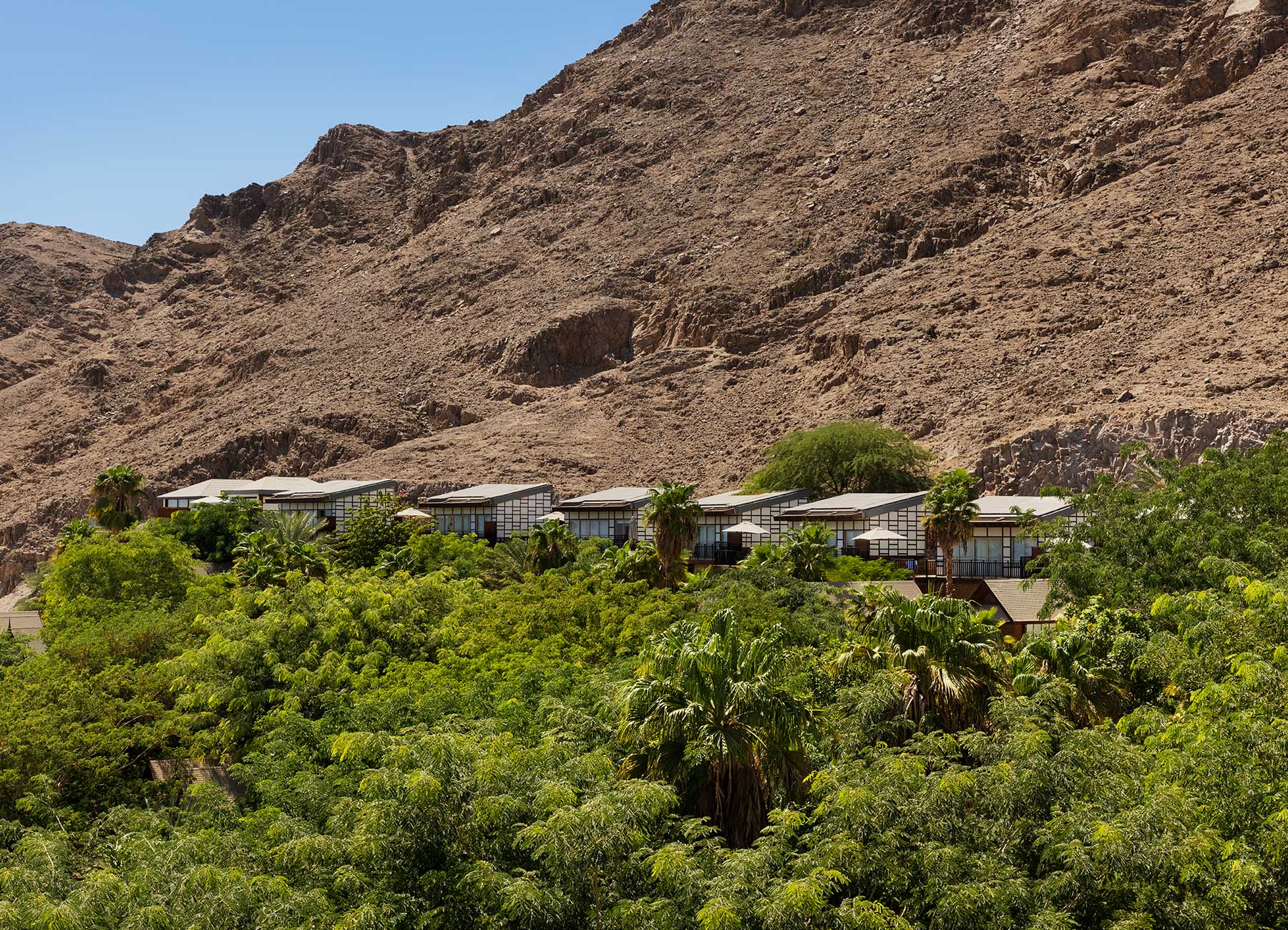 הרברט סמואל רויאל שנגרליה