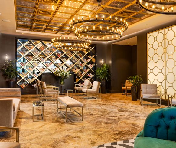 בראון דבורה