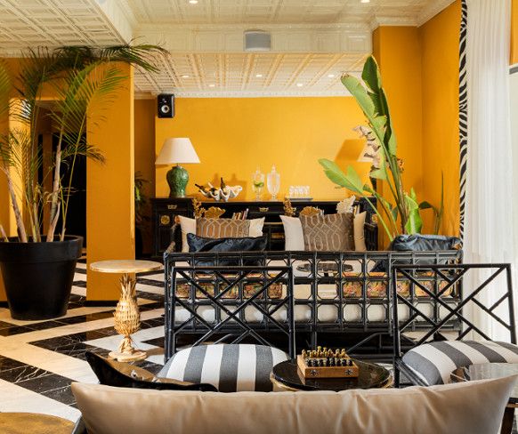 בראון מחנה יהודה