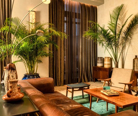 בראון JLM ממילא