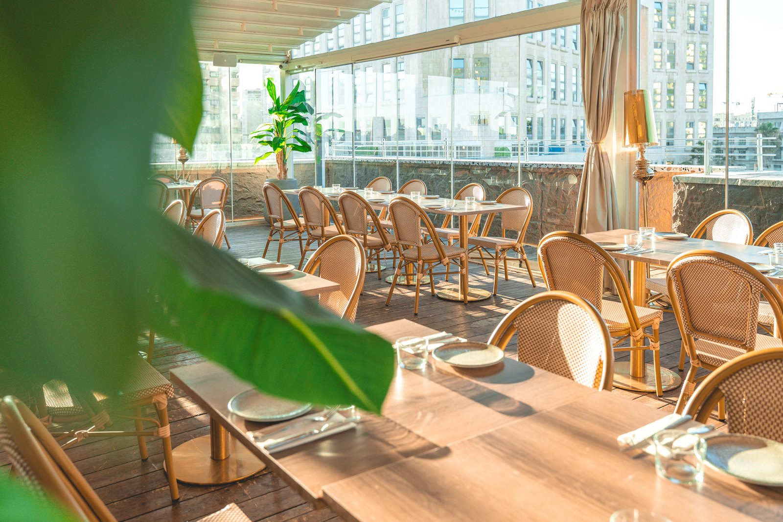 בוטיק אגריפס