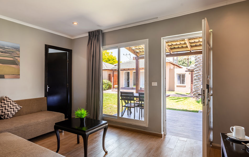 אוליב גילבוע